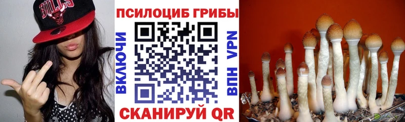 цены наркотик  Верхоянск  Псилоцибиновые грибы мухоморы 